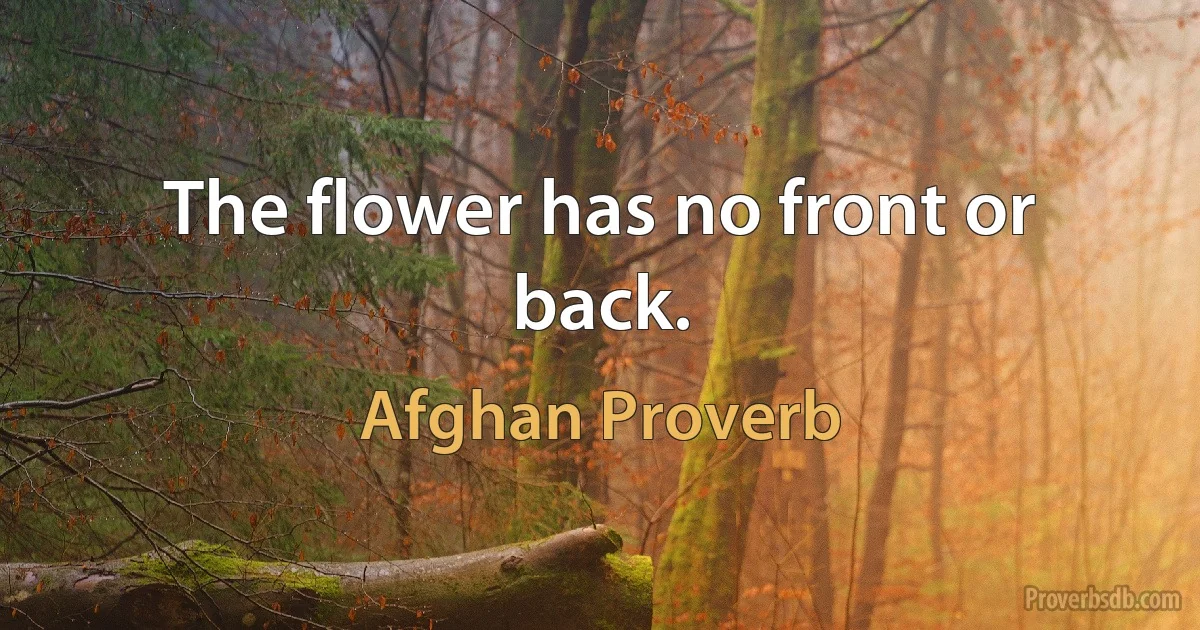 The flower has no front or back. (Afghan Proverb)