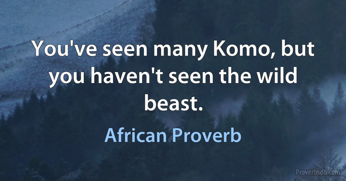 You've seen many Komo, but you haven't seen the wild beast. (African Proverb)