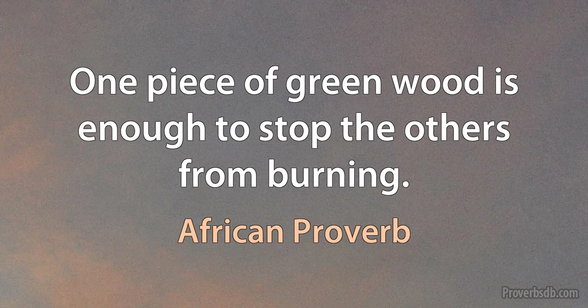 One piece of green wood is enough to stop the others from burning. (African Proverb)