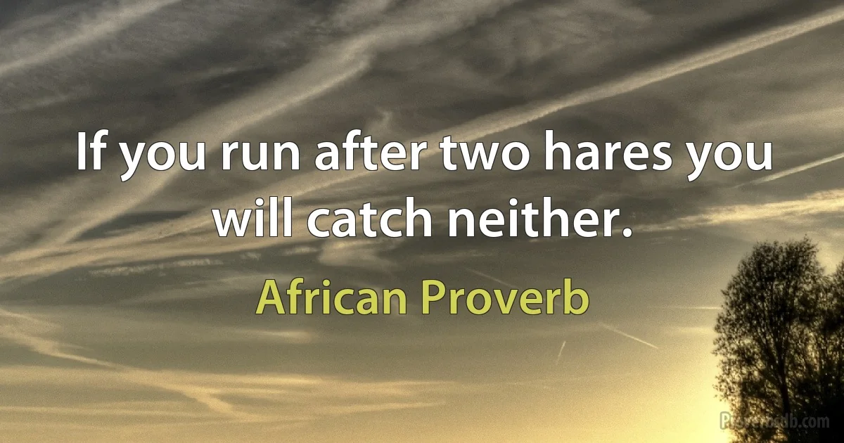 If you run after two hares you will catch neither. (African Proverb)