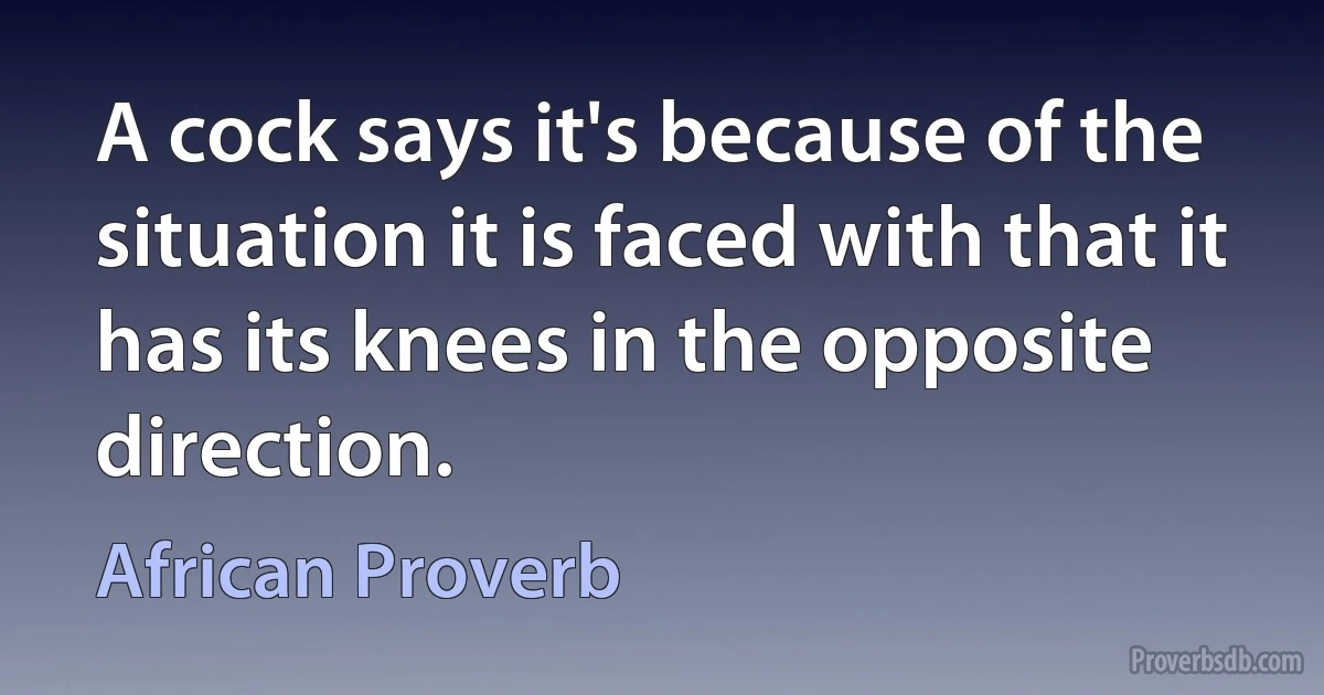 A cock says it's because of the situation it is faced with that it has its knees in the opposite direction. (African Proverb)