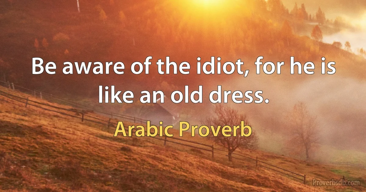 Be aware of the idiot, for he is like an old dress. (Arabic Proverb)