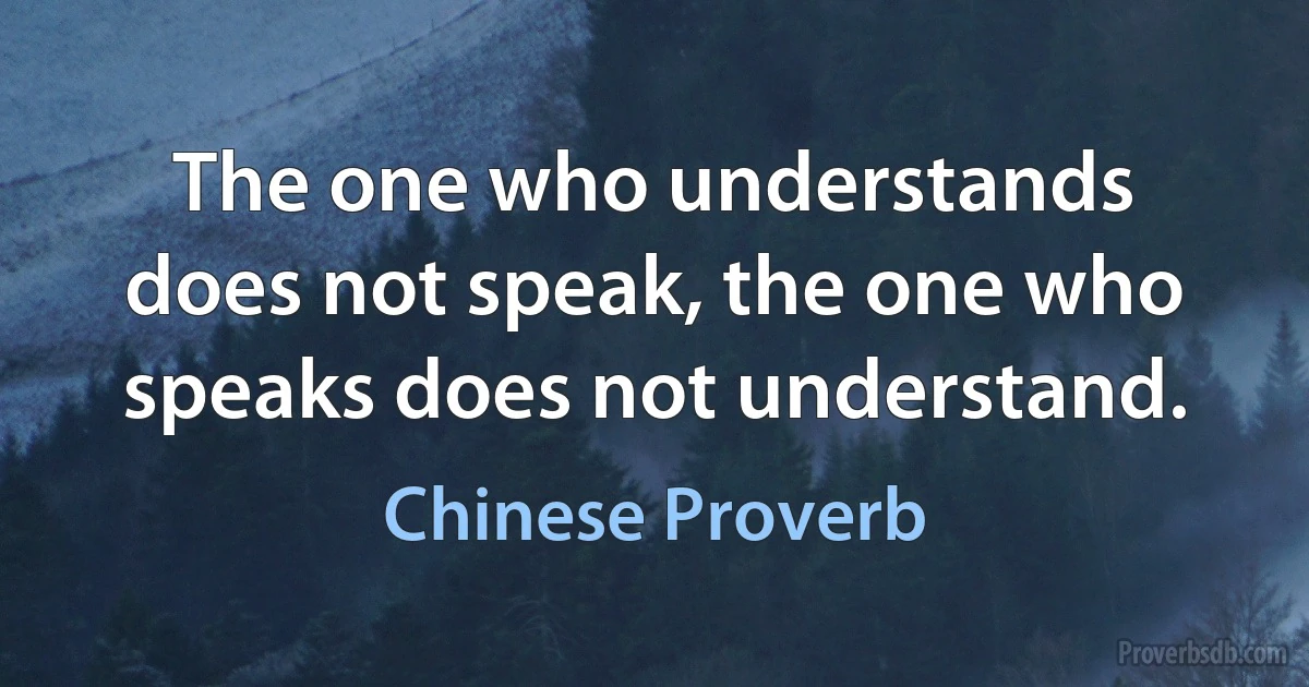 The one who understands does not speak, the one who speaks does not understand. (Chinese Proverb)