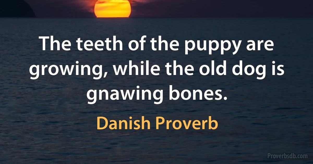 The teeth of the puppy are growing, while the old dog is gnawing bones. (Danish Proverb)