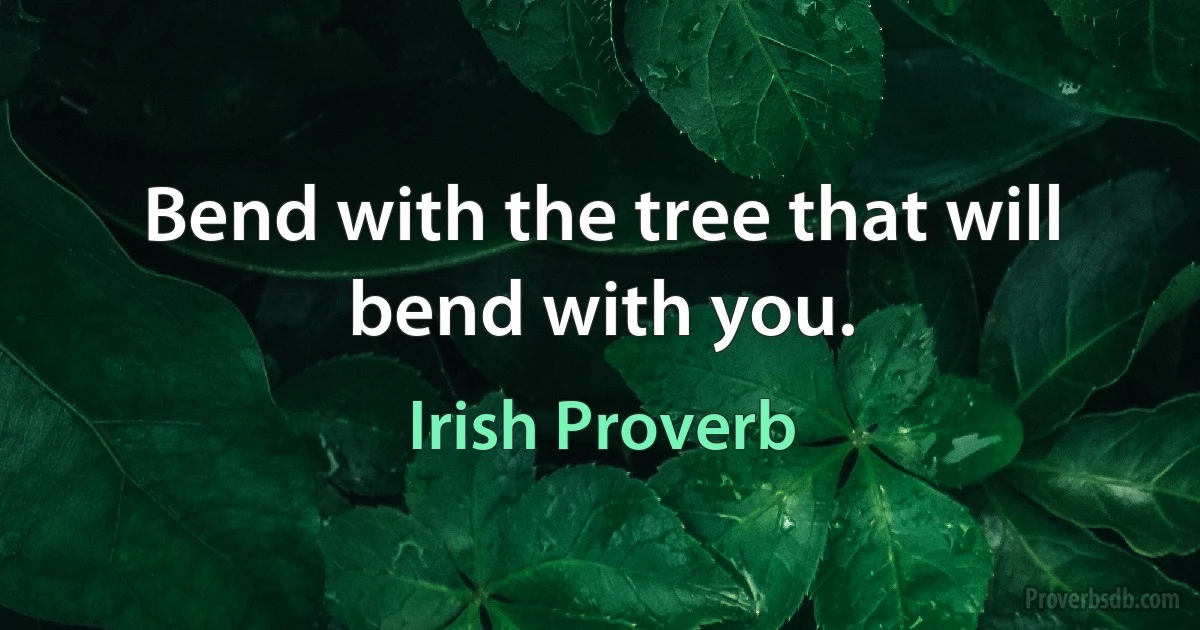 Bend with the tree that will bend with you. (Irish Proverb)