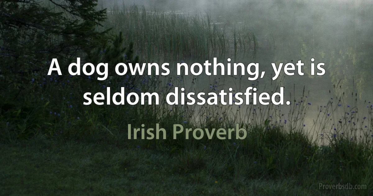 A dog owns nothing, yet is seldom dissatisfied. (Irish Proverb)