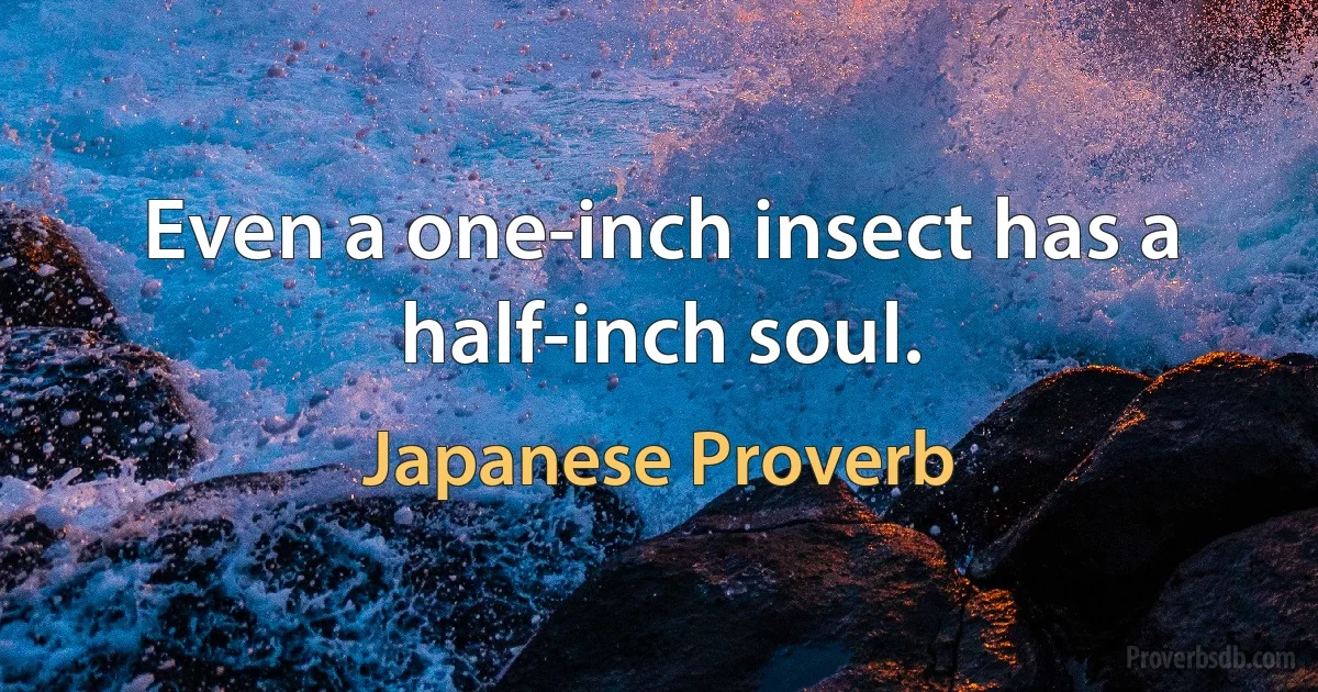 Even a one-inch insect has a half-inch soul. (Japanese Proverb)