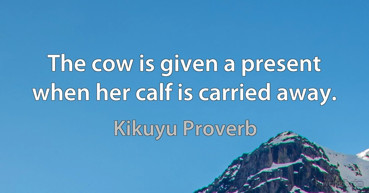 The cow is given a present when her calf is carried away. (Kikuyu Proverb)