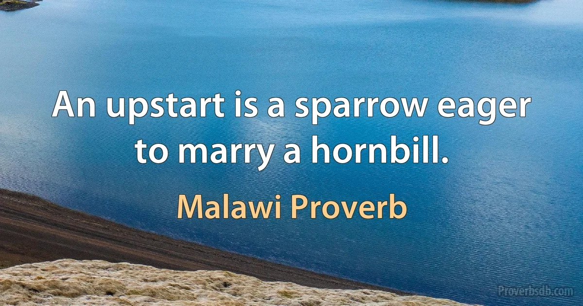 An upstart is a sparrow eager to marry a hornbill. (Malawi Proverb)