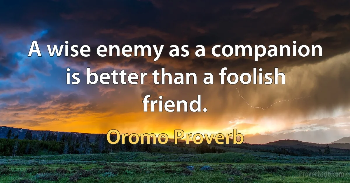 A wise enemy as a companion is better than a foolish friend. (Oromo Proverb)