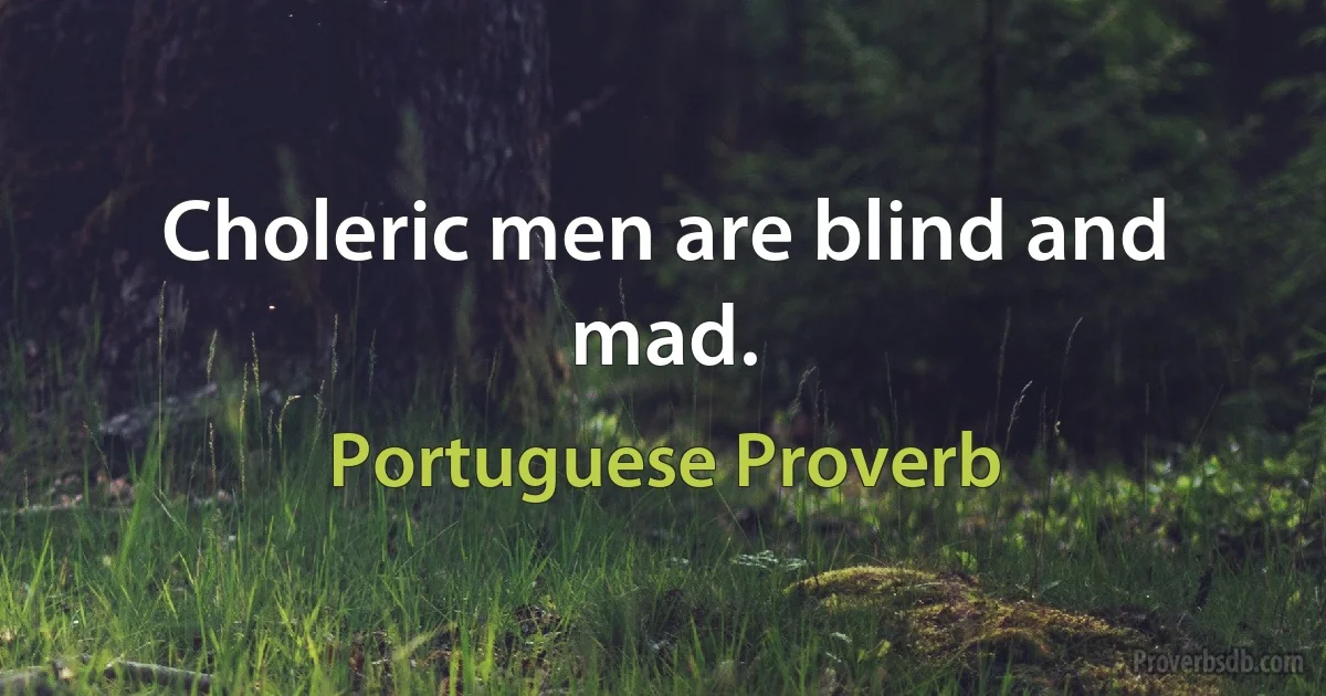 Choleric men are blind and mad. (Portuguese Proverb)