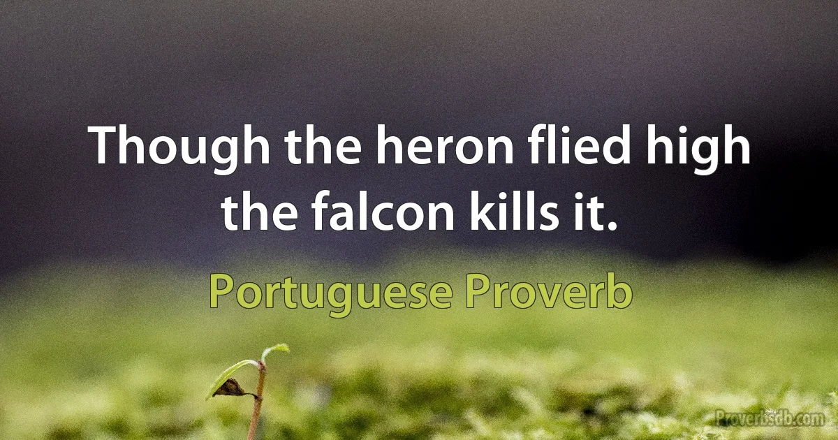 Though the heron flied high the falcon kills it. (Portuguese Proverb)