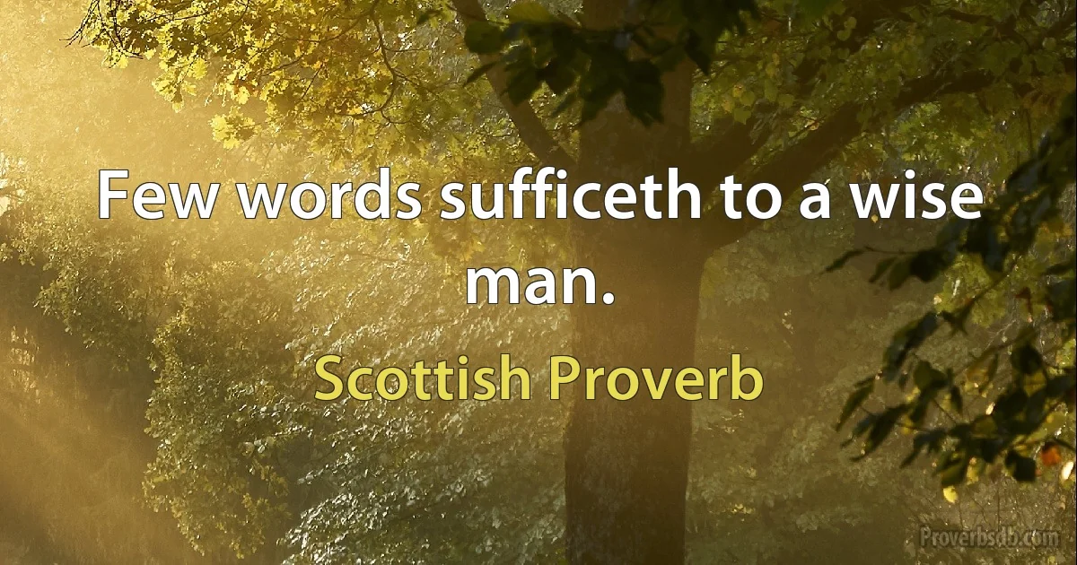 Few words sufficeth to a wise man. (Scottish Proverb)