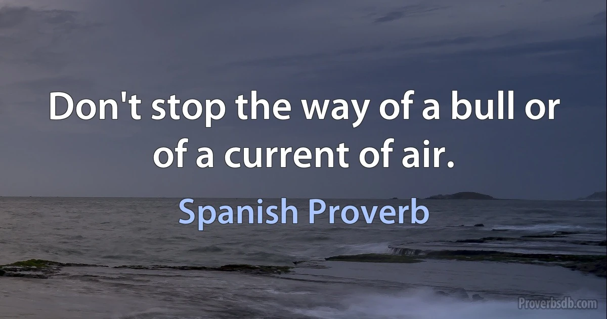 Don't stop the way of a bull or of a current of air. (Spanish Proverb)