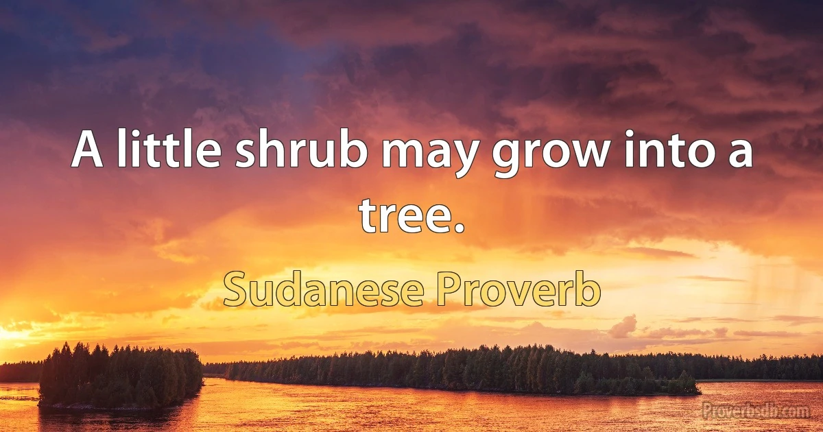 A little shrub may grow into a tree. (Sudanese Proverb)