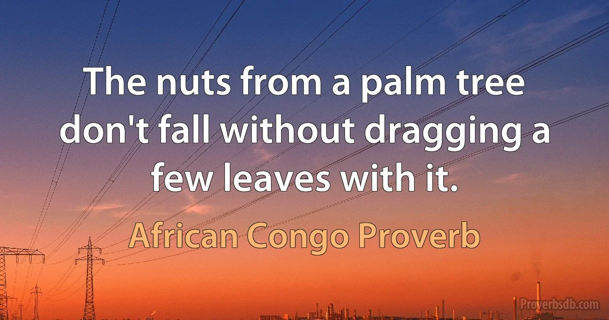 The nuts from a palm tree don't fall without dragging a few leaves with it. (African Congo Proverb)