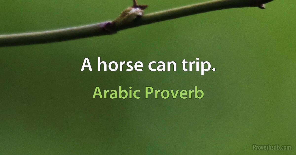 A horse can trip. (Arabic Proverb)