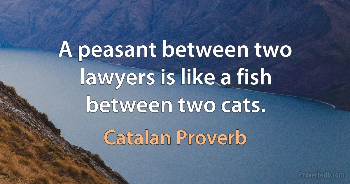 A peasant between two lawyers is like a fish between two cats. (Catalan Proverb)