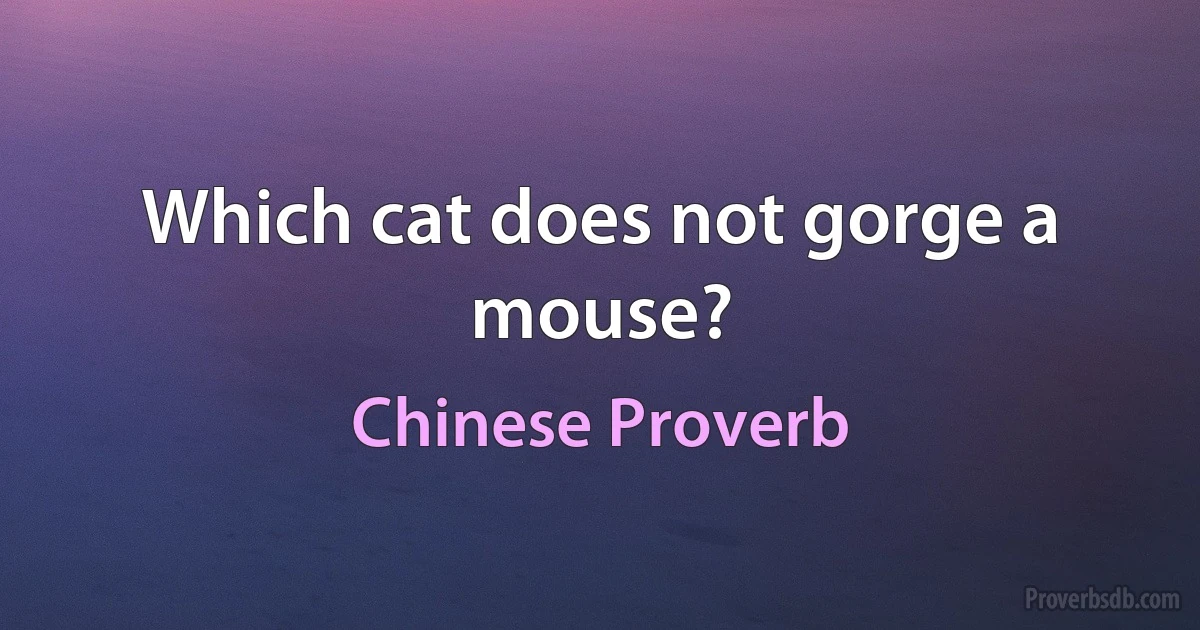 Which cat does not gorge a mouse? (Chinese Proverb)