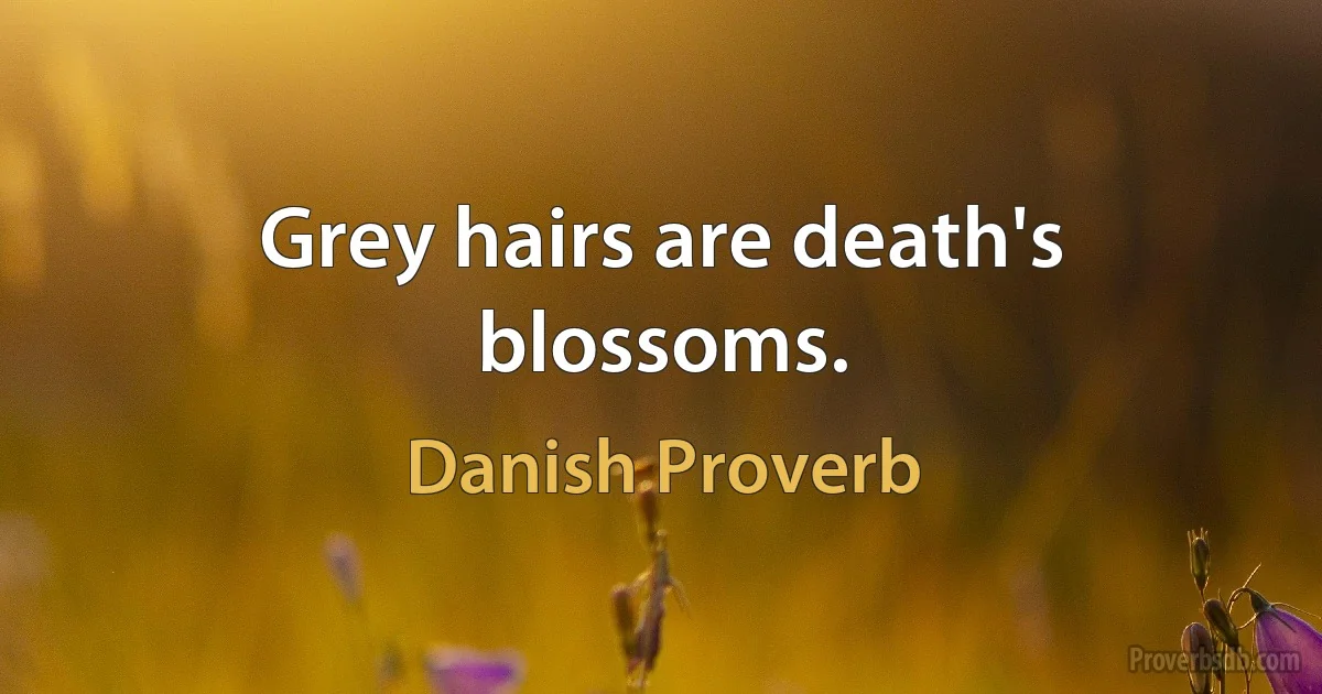 Grey hairs are death's blossoms. (Danish Proverb)