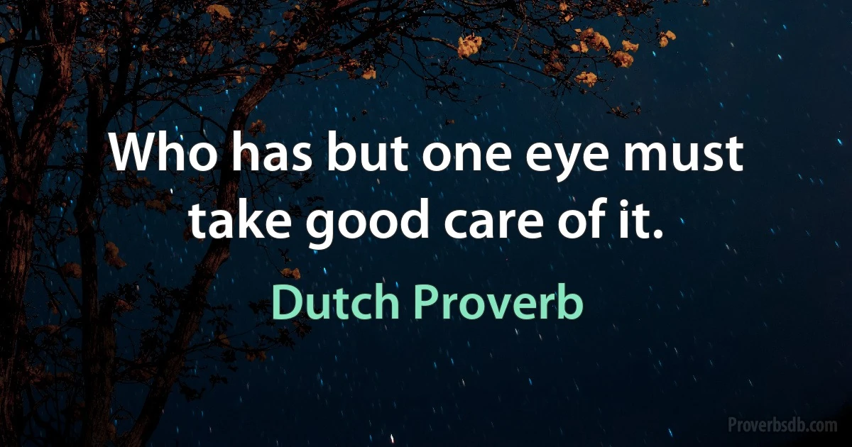 Who has but one eye must take good care of it. (Dutch Proverb)