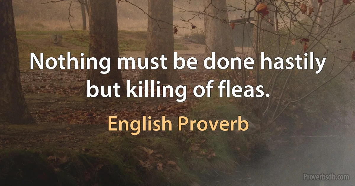 Nothing must be done hastily but killing of fleas. (English Proverb)