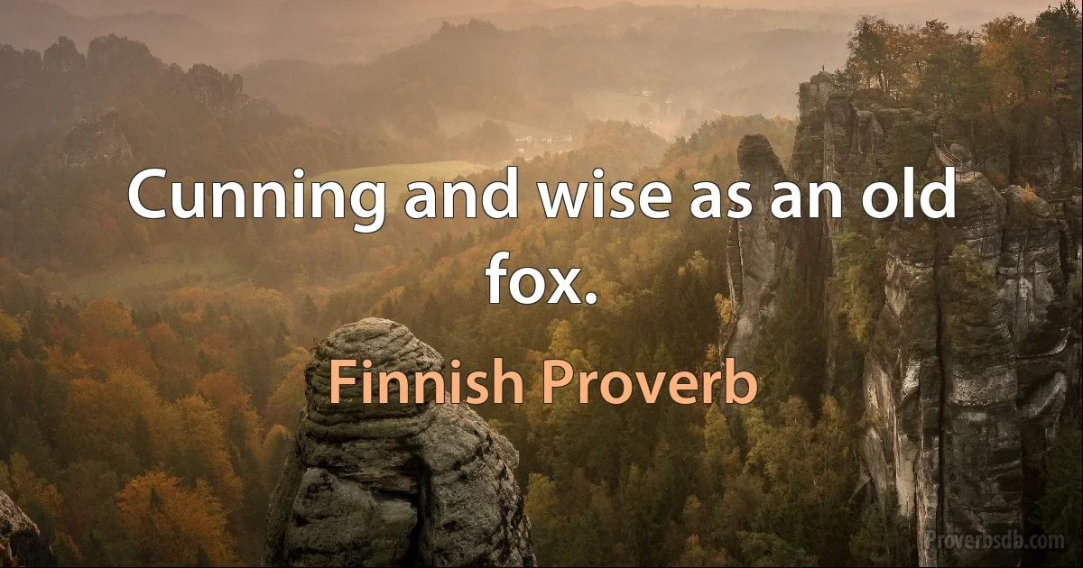 Cunning and wise as an old fox. (Finnish Proverb)