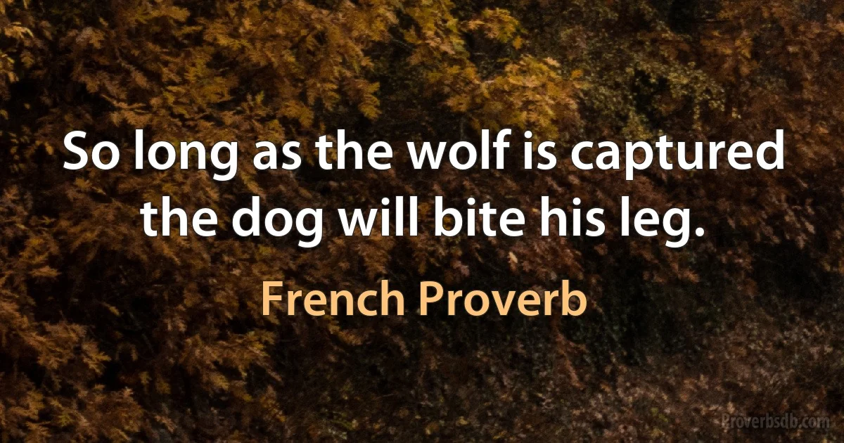 So long as the wolf is captured the dog will bite his leg. (French Proverb)