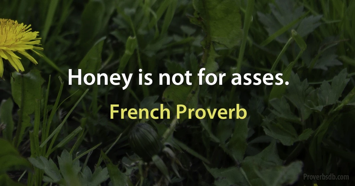 Honey is not for asses. (French Proverb)