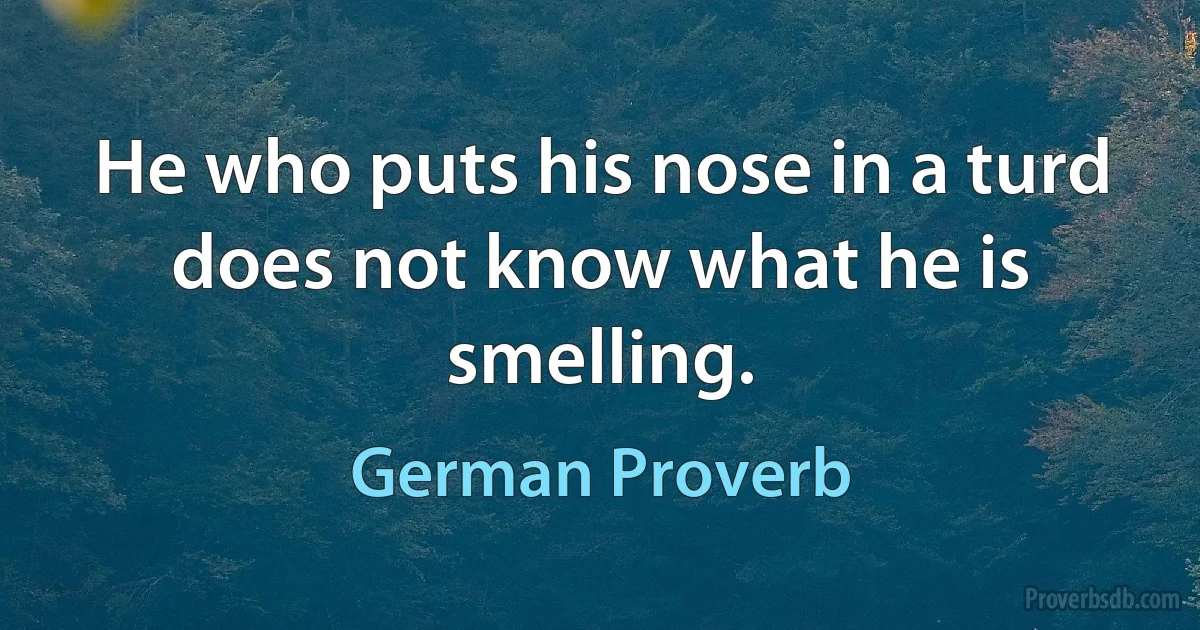 He who puts his nose in a turd does not know what he is smelling. (German Proverb)