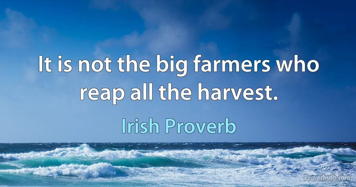 It is not the big farmers who reap all the harvest. (Irish Proverb)