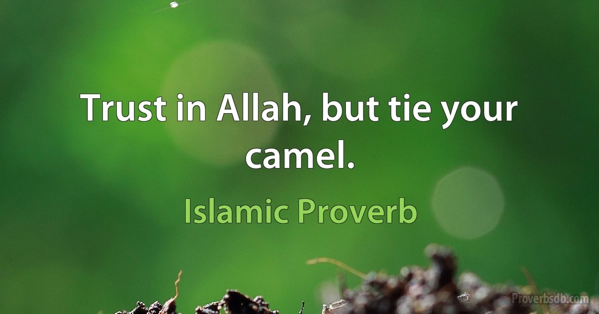 Trust in Allah, but tie your camel. (Islamic Proverb)