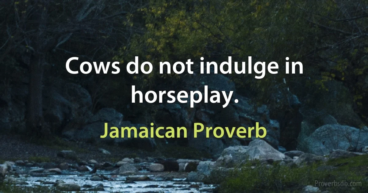 Cows do not indulge in horseplay. (Jamaican Proverb)