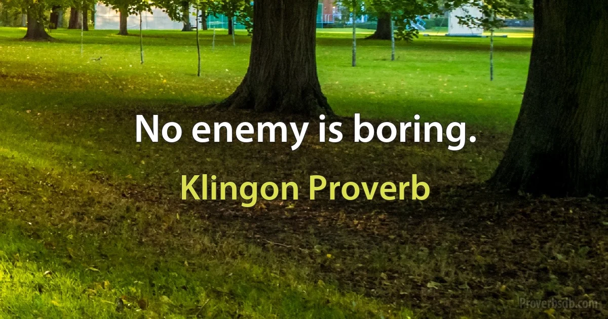 No enemy is boring. (Klingon Proverb)