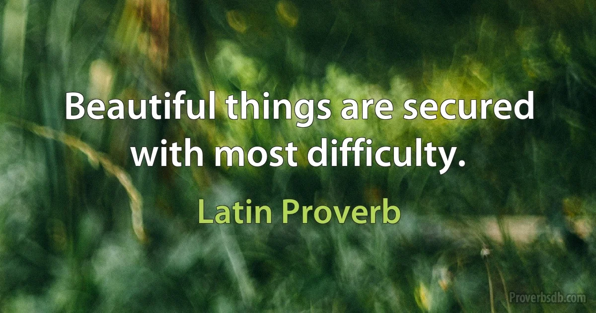 Beautiful things are secured with most difficulty. (Latin Proverb)