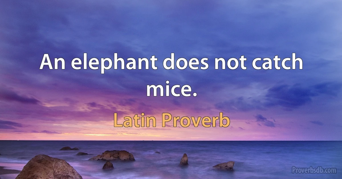 An elephant does not catch mice. (Latin Proverb)