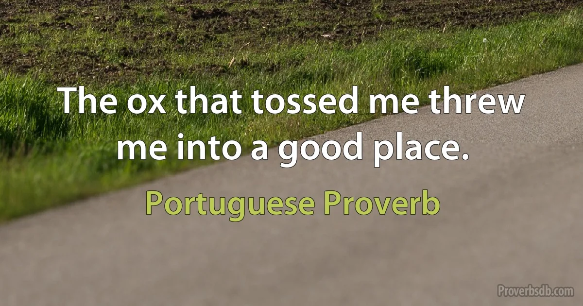 The ox that tossed me threw me into a good place. (Portuguese Proverb)