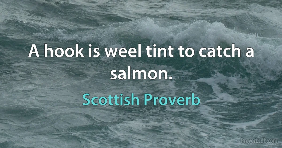 A hook is weel tint to catch a salmon. (Scottish Proverb)