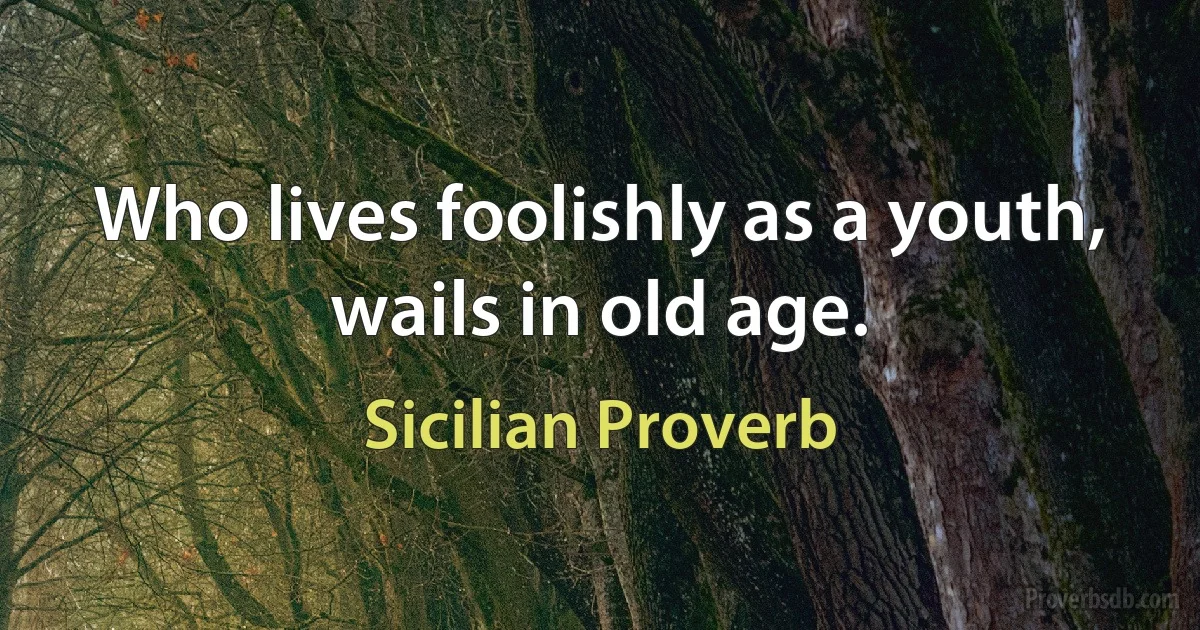 Who lives foolishly as a youth, wails in old age. (Sicilian Proverb)