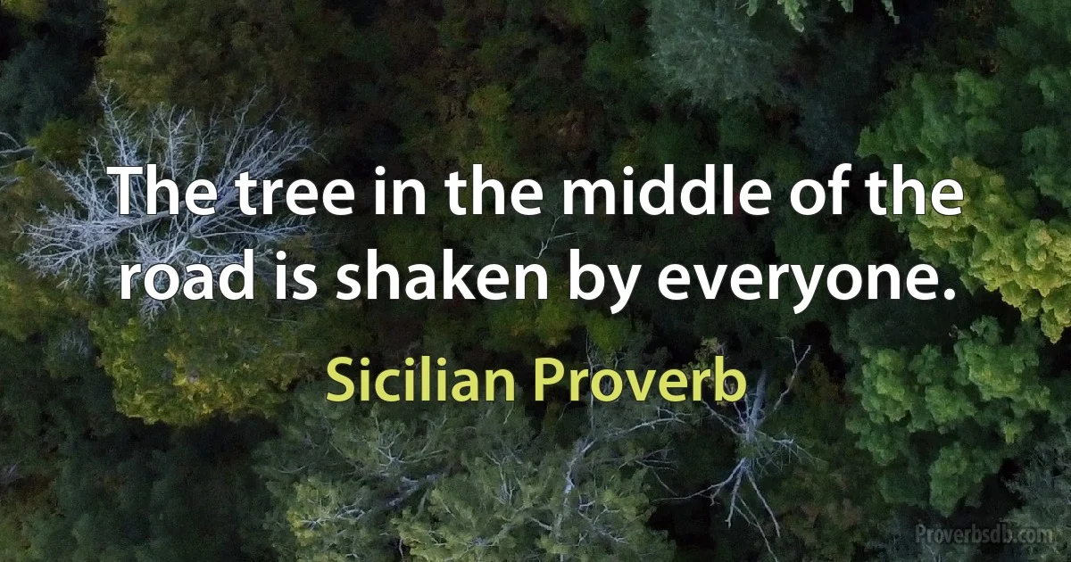 The tree in the middle of the road is shaken by everyone. (Sicilian Proverb)