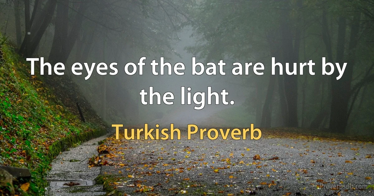 The eyes of the bat are hurt by the light. (Turkish Proverb)