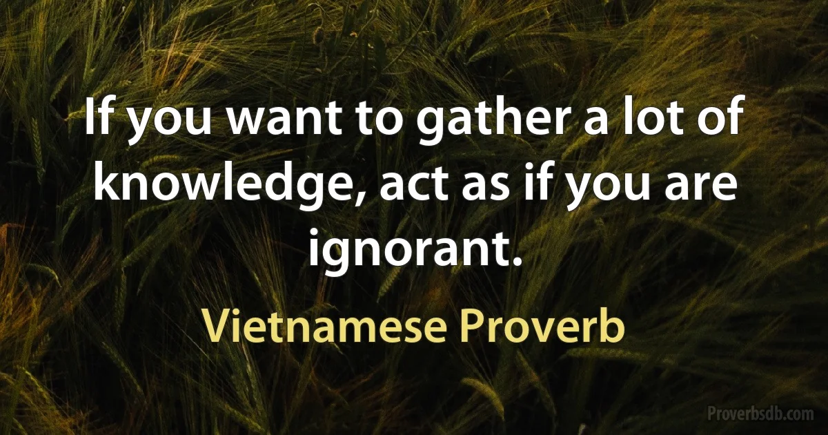 If you want to gather a lot of knowledge, act as if you are ignorant. (Vietnamese Proverb)