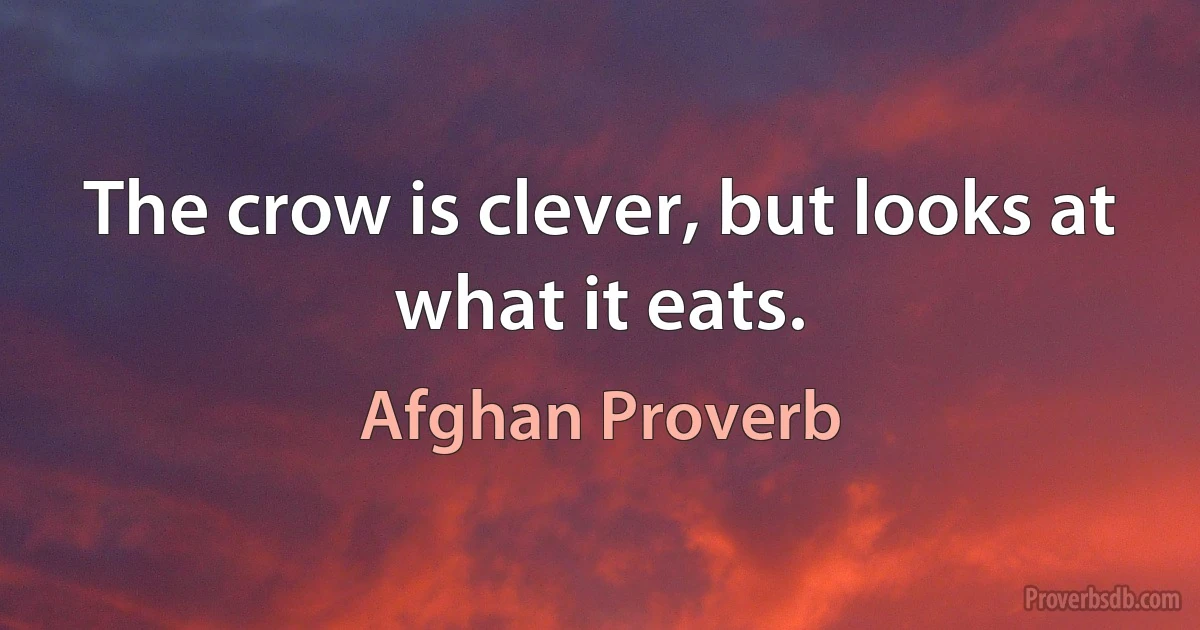 The crow is clever, but looks at what it eats. (Afghan Proverb)