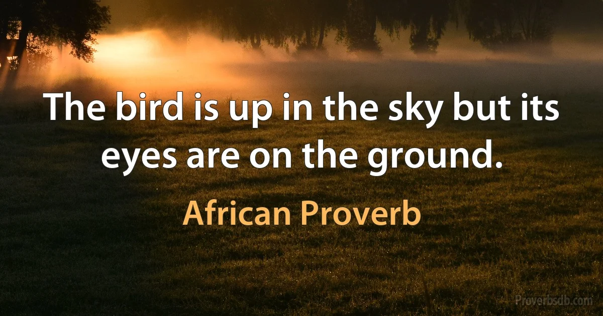 The bird is up in the sky but its eyes are on the ground. (African Proverb)