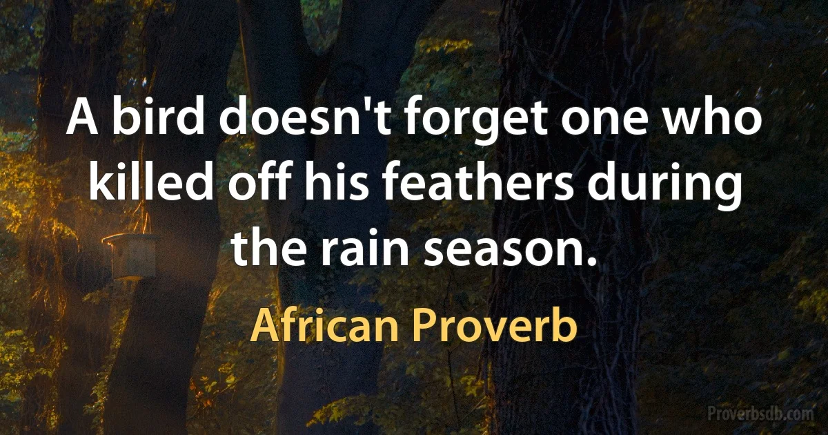 A bird doesn't forget one who killed off his feathers during the rain season. (African Proverb)