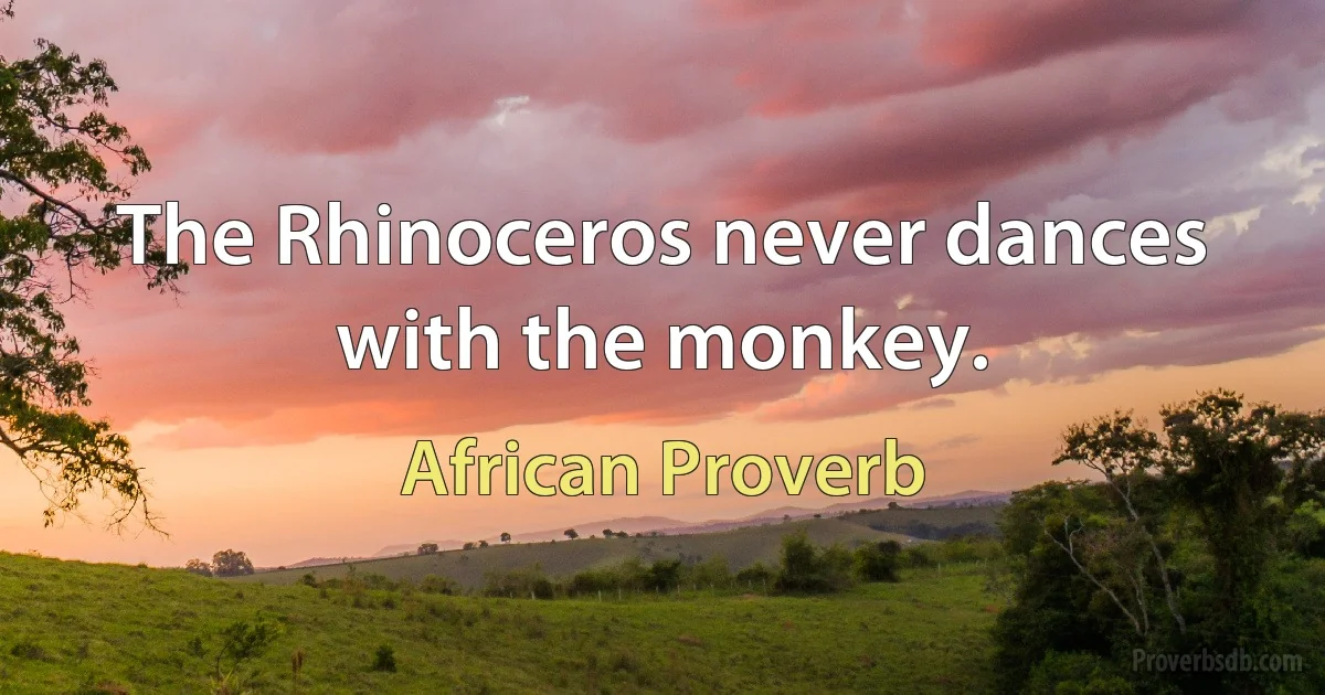 The Rhinoceros never dances with the monkey. (African Proverb)