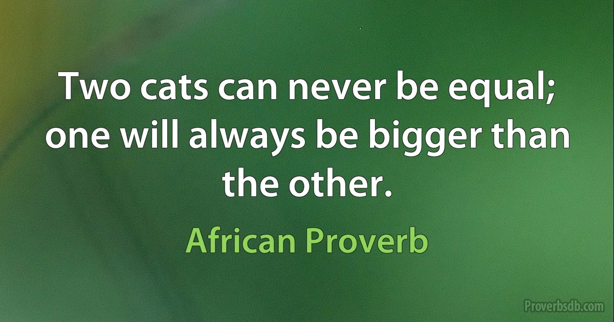 Two cats can never be equal; one will always be bigger than the other. (African Proverb)