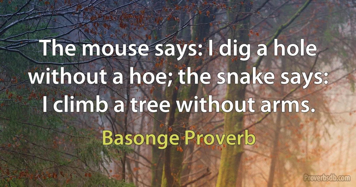 The mouse says: I dig a hole without a hoe; the snake says: I climb a tree without arms. (Basonge Proverb)