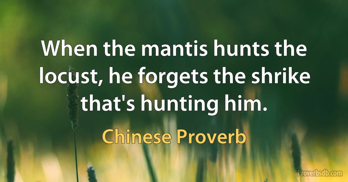 When the mantis hunts the locust, he forgets the shrike that's hunting him. (Chinese Proverb)