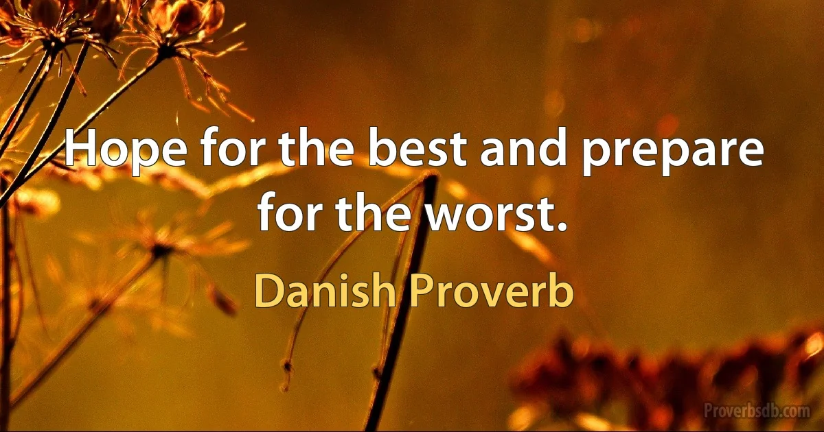 Hope for the best and prepare for the worst. (Danish Proverb)